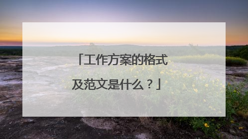 工作方案的格式及范文是什么?
