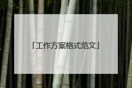 工作方案格式范文