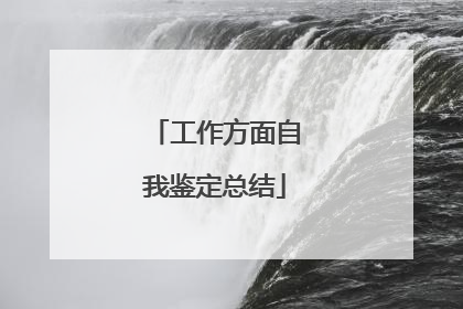 工作方面自我鉴定总结