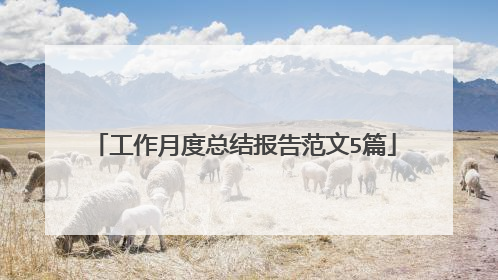 工作月度总结报告范文5篇