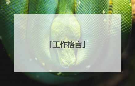工作格言