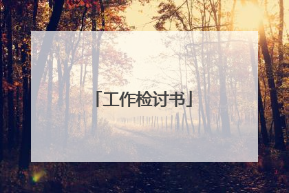工作检讨书
