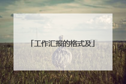 工作汇报的格式及