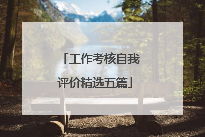 工作考核自我评价精选五篇