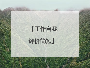 工作自我评价简短