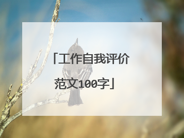 工作自我评价范文100字