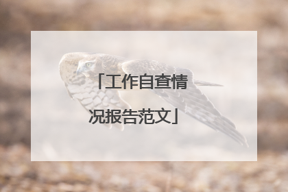 工作自查情况报告范文