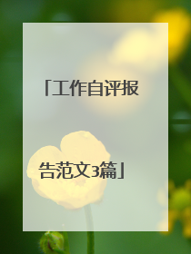 工作自评报告范文3篇