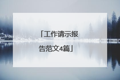 工作请示报告范文4篇