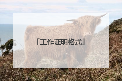 工作证明格式