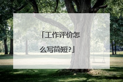 工作评价怎么写简短?