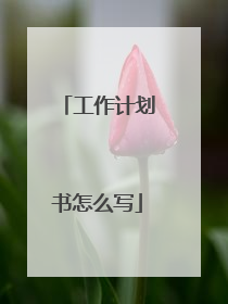 工作计划书怎么写