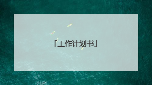 工作计划书