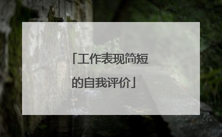 工作表现简短的自我评价