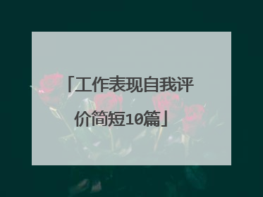工作表现自我评价简短10篇