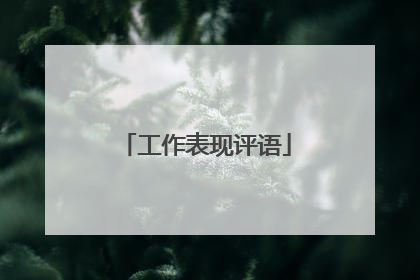 工作表现评语