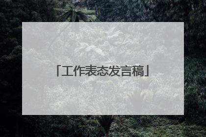 工作表态发言稿