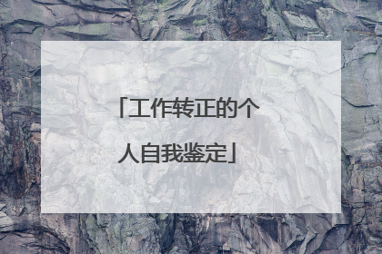 工作转正的个人自我鉴定