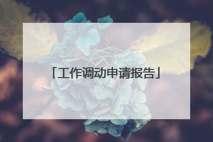 工作调动申请报告
