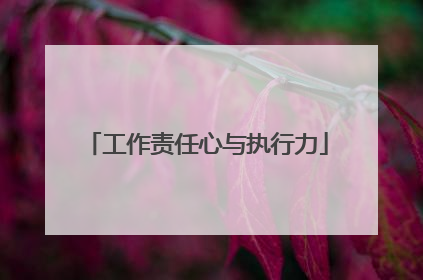 工作责任心与执行力