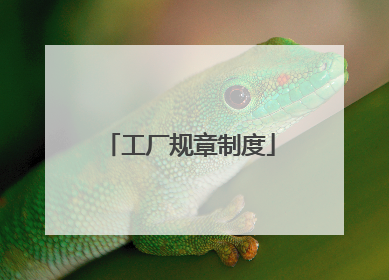 工厂规章制度