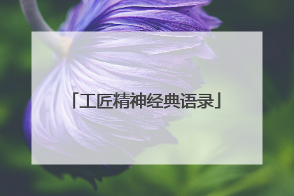 工匠精神经典语录
