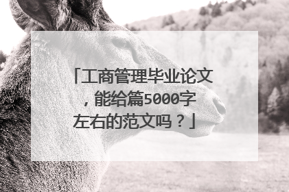 工商管理毕业论文,能给篇5000字左右的范文吗?
