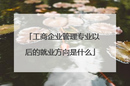 工商企业管理专业以后的就业方向是什么