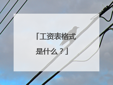 工资表格式是什么?