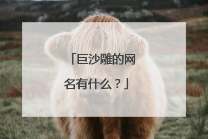 巨沙雕的网名有什么？