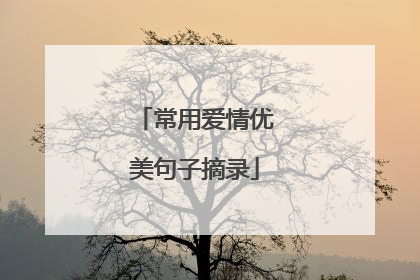常用爱情优美句子摘录