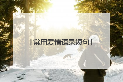 常用爱情语录短句