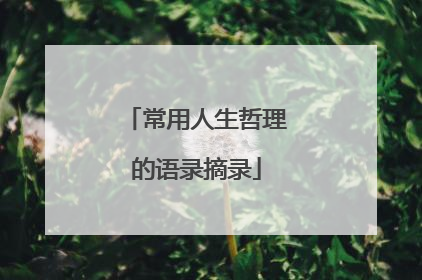 常用人生哲理的语录摘录