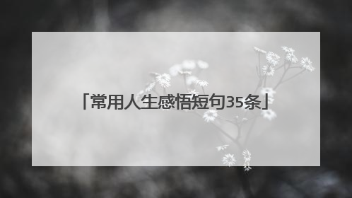 常用人生感悟短句35条