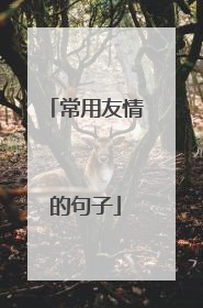 常用友情的句子