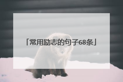 常用励志的句子68条