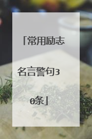 常用励志名言警句30条