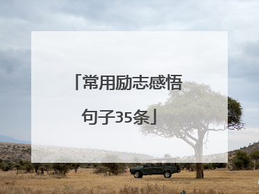 常用励志感悟句子35条