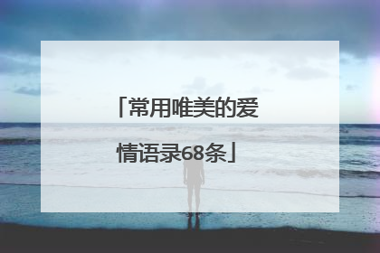 常用唯美的爱情语录68条