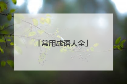 常用成语大全