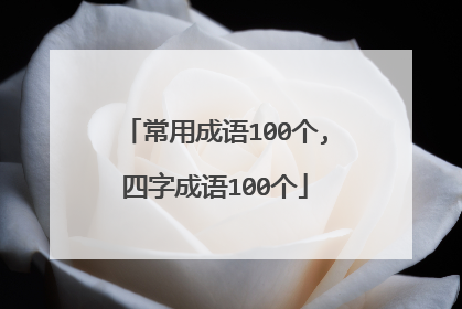 常用成语100个,四字成语100个