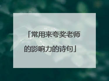 常用来夸奖老师的影响力的诗句