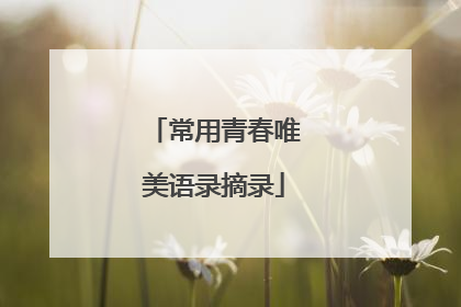 常用青春唯美语录摘录