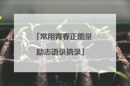 常用青春正能量励志语录摘录