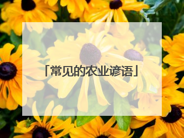 常见的农业谚语