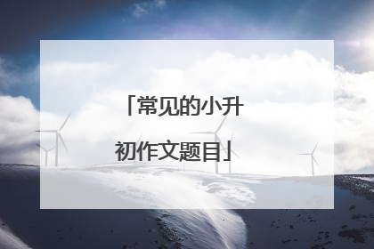常见的小升初作文题目