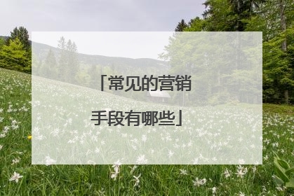 常见的营销手段有哪些