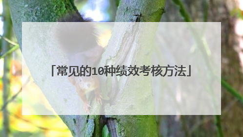 常见的10种绩效考核方法