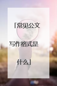 常见公文写作格式是什么