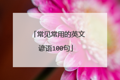 常见常用的英文谚语100句